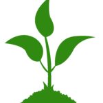 sprout icon for Perennial installation